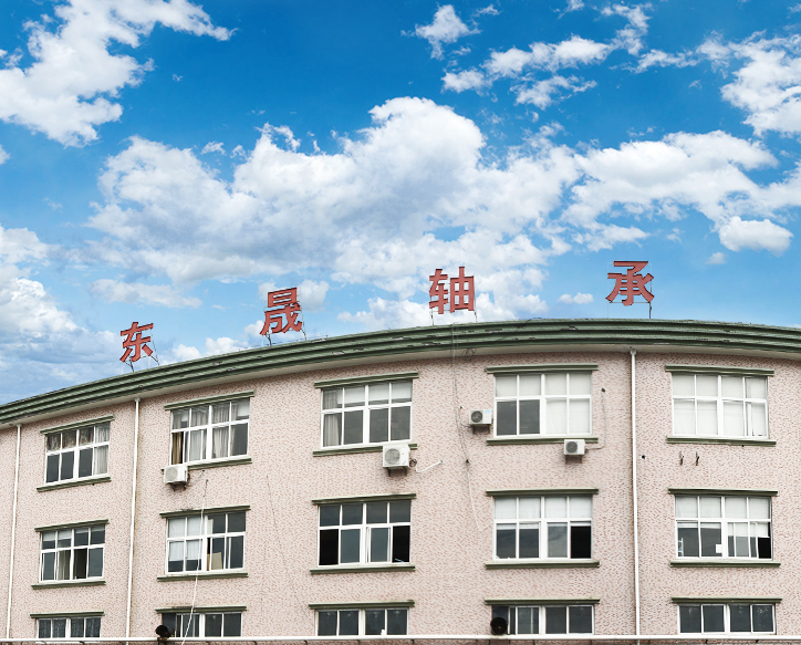 Ningbo Zhenhai Dongsheng Lagerfabrik